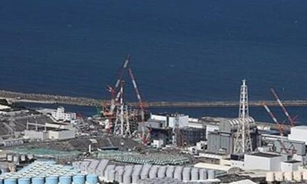 Japan Begins 5th Discharge of Fukushima Wastewater