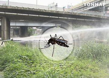 Avg. Mosquito Activity Index in Seoul Reaches Record High of 100 for 2nd Week