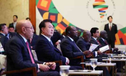 S. Korea & African Nations Forge Critical Mineral Partnership