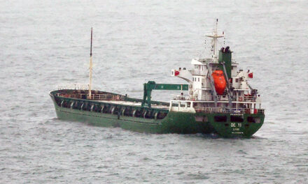 Cargo Ship Seized for Suspected Violation of UN Sanctions on N. Korea