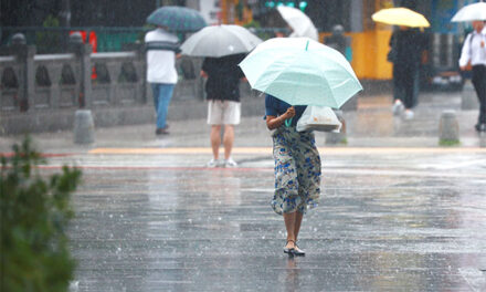 Monsoon Showers Return to Forecast as Southern Regions Face 3rd Day of Heat Wave Alerts