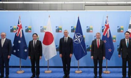 4 Indo-Pacific Nations, Ukraine May Hold Summit on Margins of NATO Summit