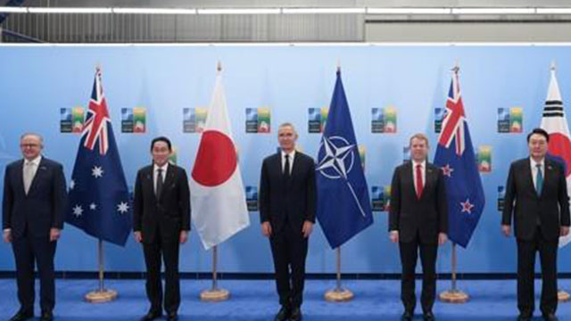 4 Indo-Pacific Nations, Ukraine May Hold Summit on Margins of NATO Summit