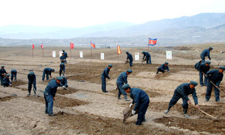 UN Report: N. Korean Children Aged 10 and Under Forced into Labor